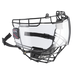 Visor and cage